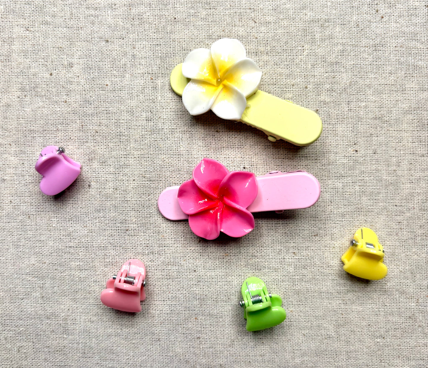 set 2 haarspeldjes en 4 mini haarklemmetjes